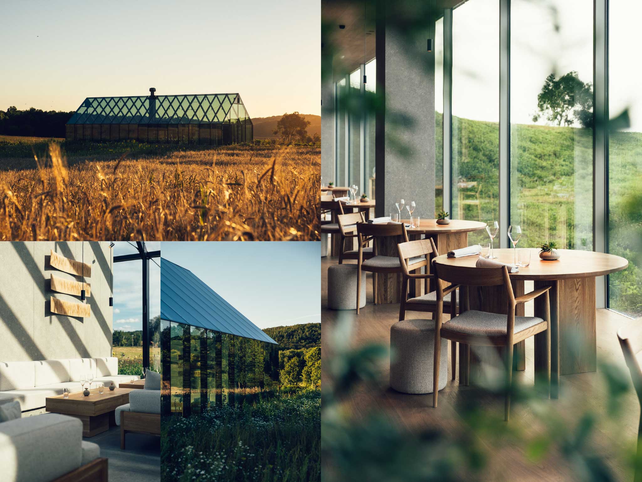 Press, bilder och nyheter från Ästad Vingård - Ästad Vingård